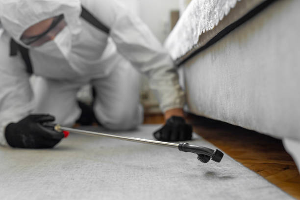 Professional Cockroach Control technician working in McGraw, NY