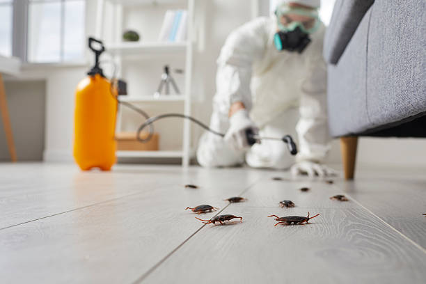 Affordable Cockroach Control solutions in McGraw, NY